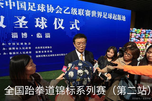 全国跆拳道锦标系列赛（第二站）第三日 冀晋浙苏各得一金