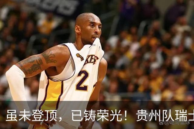 虽未登顶，已铸荣光！贵州队瑞士全球赛征程回顾