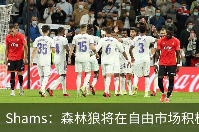Shams：森林狼将在自由市场积极补强4号位 但他们只能提供底薪
